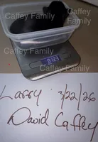 LARRY  (AKC REGISTRATION AVAILABLE), a male Yorkshire Terrier for sale in Ballwin, MO – Photo 2 of 2