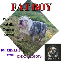 processed/99aa64f2-410e-464d-9520-69fea66f608e/facility/5a3b88ab-c83b-4648-b9d0-481f23f20d3d