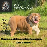 processed/99aa64f2-410e-464d-9520-69fea66f608e/facility/5f7b06e3-81ca-43ea-a4e4-d87a31d2e195