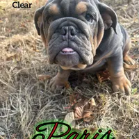 processed/99aa64f2-410e-464d-9520-69fea66f608e/facility/9dc4038d-c819-4342-80d0-eb06528cde74