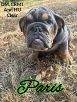 processed/99aa64f2-410e-464d-9520-69fea66f608e/facility/9dc4038d-c819-4342-80d0-eb06528cde74