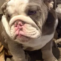 processed/99aa64f2-410e-464d-9520-69fea66f608e/facility/ab4288c8-7a4c-4efb-951d-f7eaed2fe378