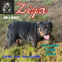 processed/99aa64f2-410e-464d-9520-69fea66f608e/facility/ba88af18-9c3b-468d-9dc1-a846c2ee5d9c