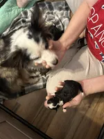 processed/99aee834-a598-4f99-90aa-2633cca0a4b2/facility/0bd878ee-3749-4de7-91c5-fe4609dd3ead