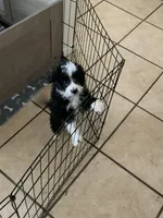 processed/99aee834-a598-4f99-90aa-2633cca0a4b2/facility/22218f6c-f288-43dc-9fb8-4f336f2bc22d