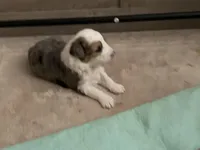 processed/99aee834-a598-4f99-90aa-2633cca0a4b2/facility/3ef8c447-dfc2-4d15-8663-08983edf2961