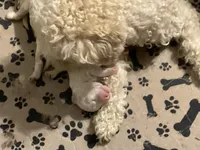 processed/99aee834-a598-4f99-90aa-2633cca0a4b2/facility/854c0478-b533-4110-80b1-36ed2756c54e