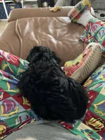 processed/99aee834-a598-4f99-90aa-2633cca0a4b2/facility/c2366937-4c6f-4238-a281-863e0514937f