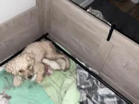 processed/99aee834-a598-4f99-90aa-2633cca0a4b2/facility/f138cc57-2a3c-46db-8a89-e4255181e62a