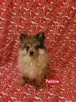 processed/99b5a47f-f4ad-4b48-b615-0cecc8a002aa/listing/e01db69e-675f-4aae-a1c4-ba8b0cf0889e/5bde5eff-5ef6-4785-81ed-0bf496bde38f