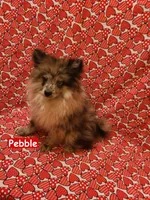 processed/99b5a47f-f4ad-4b48-b615-0cecc8a002aa/listing/e01db69e-675f-4aae-a1c4-ba8b0cf0889e/5d885f5c-4216-492c-a5f3-f6abd141f155