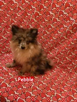 processed/99b5a47f-f4ad-4b48-b615-0cecc8a002aa/listing/e01db69e-675f-4aae-a1c4-ba8b0cf0889e/6d458fc5-2e6f-44c9-90f8-e3505c2f73e8