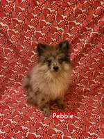 processed/99b5a47f-f4ad-4b48-b615-0cecc8a002aa/listing/e01db69e-675f-4aae-a1c4-ba8b0cf0889e/b7c52d26-4cde-4a4e-95ac-386da1aa7c4d