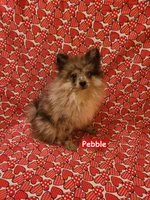 processed/99b5a47f-f4ad-4b48-b615-0cecc8a002aa/listing/e01db69e-675f-4aae-a1c4-ba8b0cf0889e/c4a103fe-c833-4e52-bcd4-bf0e7fa6d43f