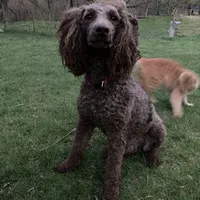 processed/99b912c4-2624-443c-b137-e412ba4dc48b/facility/591598b1-dde2-4fad-88f2-2abb58b19154