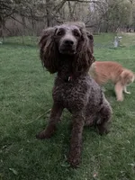 processed/99b912c4-2624-443c-b137-e412ba4dc48b/facility/591598b1-dde2-4fad-88f2-2abb58b19154