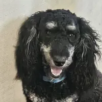 processed/99b912c4-2624-443c-b137-e412ba4dc48b/facility/6b9784d5-85e7-4b30-8893-5e92771c4212