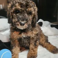 processed/99b912c4-2624-443c-b137-e412ba4dc48b/facility/97bb8e36-bedb-49f1-848c-8b4dbe062db4