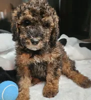 processed/99b912c4-2624-443c-b137-e412ba4dc48b/facility/97bb8e36-bedb-49f1-848c-8b4dbe062db4