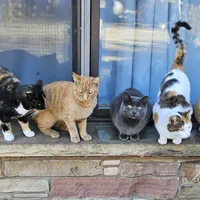 processed/99b912c4-2624-443c-b137-e412ba4dc48b/facility/b19933c7-f244-42d3-b43c-19b8ef75a630