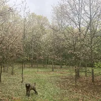 processed/99b912c4-2624-443c-b137-e412ba4dc48b/facility/d8d9ea26-1181-4f5e-af6c-2479b10bde97