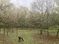 processed/99b912c4-2624-443c-b137-e412ba4dc48b/facility/d8d9ea26-1181-4f5e-af6c-2479b10bde97