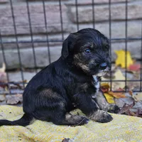 processed/99b912c4-2624-443c-b137-e412ba4dc48b/facility/e45a8e4f-c227-45f4-8e55-13772f82a32d