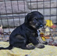 processed/99b912c4-2624-443c-b137-e412ba4dc48b/facility/e45a8e4f-c227-45f4-8e55-13772f82a32d