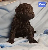 processed/99b912c4-2624-443c-b137-e412ba4dc48b/listing/1edaaf80-317a-444c-8d38-8224642813f2/89e81b01-1a83-4866-9927-2c4623dae291