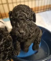 processed/99b912c4-2624-443c-b137-e412ba4dc48b/listing/1edaaf80-317a-444c-8d38-8224642813f2/a8d33c3e-10a6-4188-8cde-fe05d58edd36