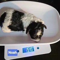 processed/99b912c4-2624-443c-b137-e412ba4dc48b/listing/7784780c-6bec-485e-abb2-5f385e6bc099/0e60e552-5389-419e-8081-d724572d0cdd