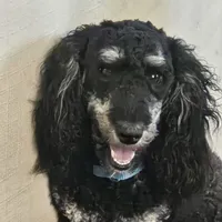 processed/99b912c4-2624-443c-b137-e412ba4dc48b/listing/7784780c-6bec-485e-abb2-5f385e6bc099/51d018db-c563-46de-a11e-720d54813e5a