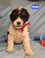 processed/99b912c4-2624-443c-b137-e412ba4dc48b/listing/7784780c-6bec-485e-abb2-5f385e6bc099/89108126-110d-4a5f-a35a-b6b3b63f0bc2