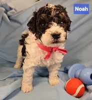 processed/99b912c4-2624-443c-b137-e412ba4dc48b/listing/7784780c-6bec-485e-abb2-5f385e6bc099/d67e5b9c-e9fc-453b-93cc-3f08e0be23c0