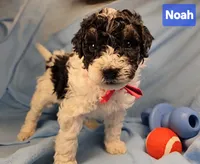 processed/99b912c4-2624-443c-b137-e412ba4dc48b/listing/7784780c-6bec-485e-abb2-5f385e6bc099/da796058-2639-4799-9ed8-80fd32a997c8