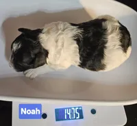 processed/99b912c4-2624-443c-b137-e412ba4dc48b/listing/7784780c-6bec-485e-abb2-5f385e6bc099/f36511b9-2d2f-4b70-9993-25169aefaab8