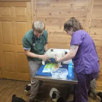 April is Potty, leash, recall and behavior training, a female Poodle - Miniature  for sale in Whitewater, WI – 8 of 10