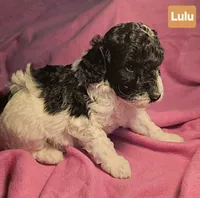 processed/99b912c4-2624-443c-b137-e412ba4dc48b/listing/ad7baff3-2c5e-4865-83ce-9b48771da325/02801b7e-4ab6-40c2-ab5b-8ad020e6bbd0