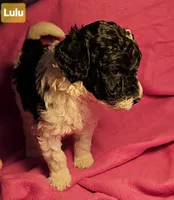 processed/99b912c4-2624-443c-b137-e412ba4dc48b/listing/ad7baff3-2c5e-4865-83ce-9b48771da325/2ca06e6c-c2c7-43ad-9dc2-e0f3c2f7275c