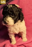 processed/99b912c4-2624-443c-b137-e412ba4dc48b/listing/ad7baff3-2c5e-4865-83ce-9b48771da325/41225e6a-756f-4b82-9525-8efe88e9b162