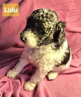 processed/99b912c4-2624-443c-b137-e412ba4dc48b/listing/ad7baff3-2c5e-4865-83ce-9b48771da325/7a607a70-0b13-4a5f-8116-ce9b5a14783c