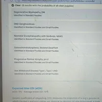 Lulu, in training, a female Poodle - Miniature  for sale in Whitewater, WI – Photo 7 of 9