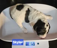 processed/99b912c4-2624-443c-b137-e412ba4dc48b/listing/e49e7ccd-7144-4f4a-8629-8d196abf9961/0e640e83-e2d5-4d18-ad75-6c6beb9249ba