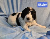 processed/99b912c4-2624-443c-b137-e412ba4dc48b/listing/e49e7ccd-7144-4f4a-8629-8d196abf9961/9c65236e-5f62-4a79-8ca3-6af7c3c94d41