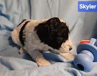 processed/99b912c4-2624-443c-b137-e412ba4dc48b/listing/e49e7ccd-7144-4f4a-8629-8d196abf9961/ab5ac0c4-389a-47c0-a0ee-98930cac6bbd