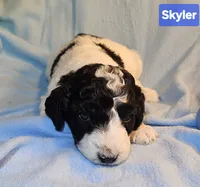 processed/99b912c4-2624-443c-b137-e412ba4dc48b/listing/e49e7ccd-7144-4f4a-8629-8d196abf9961/bebade94-f15b-4445-bcee-ecc966583410