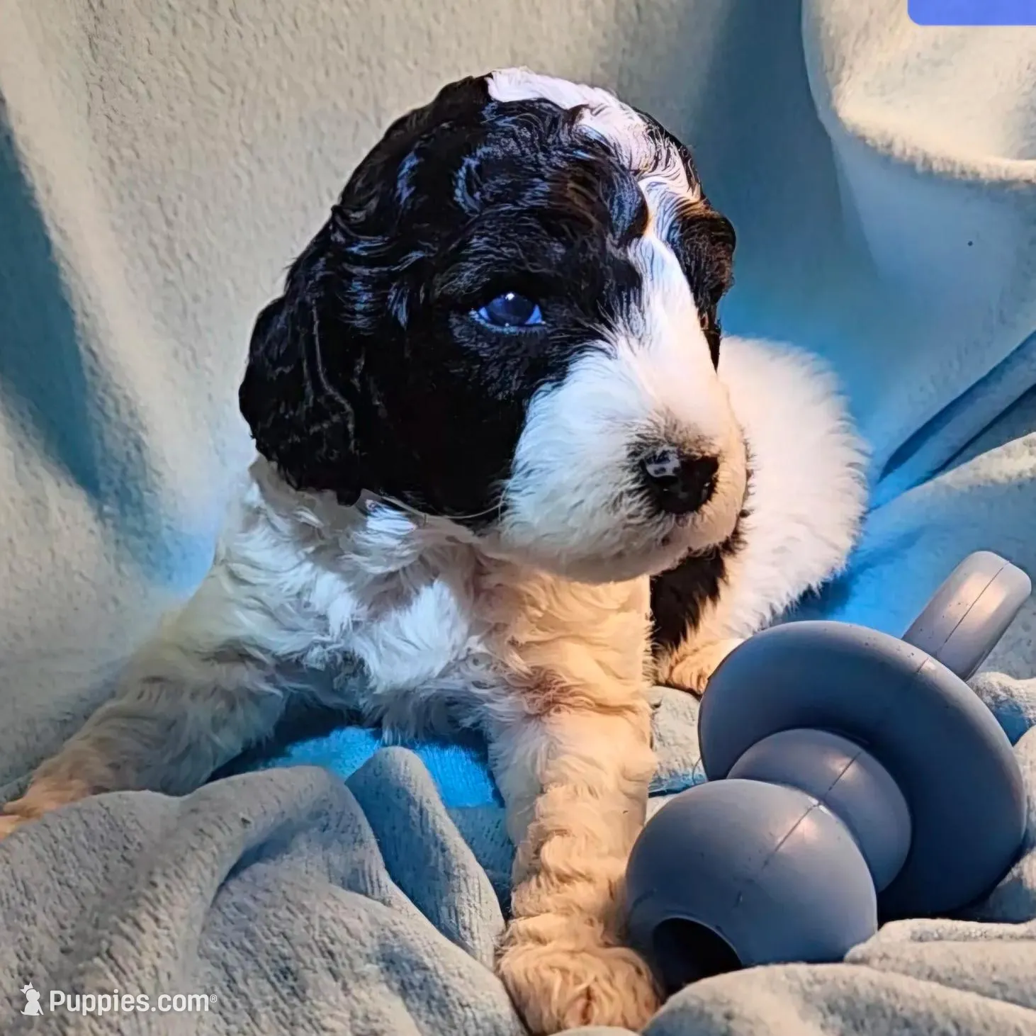 processed/99b912c4-2624-443c-b137-e412ba4dc48b/listing/e49e7ccd-7144-4f4a-8629-8d196abf9961/d4bae825-401e-4a17-a460-fe0cfbf670bb