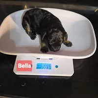 processed/99b912c4-2624-443c-b137-e412ba4dc48b/listing/e936f84e-be4f-4b8e-8fcb-647a16de2876/84f2564a-556a-4a55-85a7-4a97b0e7e0b1