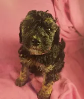 processed/99b912c4-2624-443c-b137-e412ba4dc48b/listing/e936f84e-be4f-4b8e-8fcb-647a16de2876/9a7de4c5-80bf-4bd4-b3b9-a9ee4f20df0a