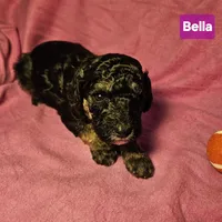 processed/99b912c4-2624-443c-b137-e412ba4dc48b/listing/e936f84e-be4f-4b8e-8fcb-647a16de2876/d4e86cfd-584a-45dd-bfb0-61857e4a685d